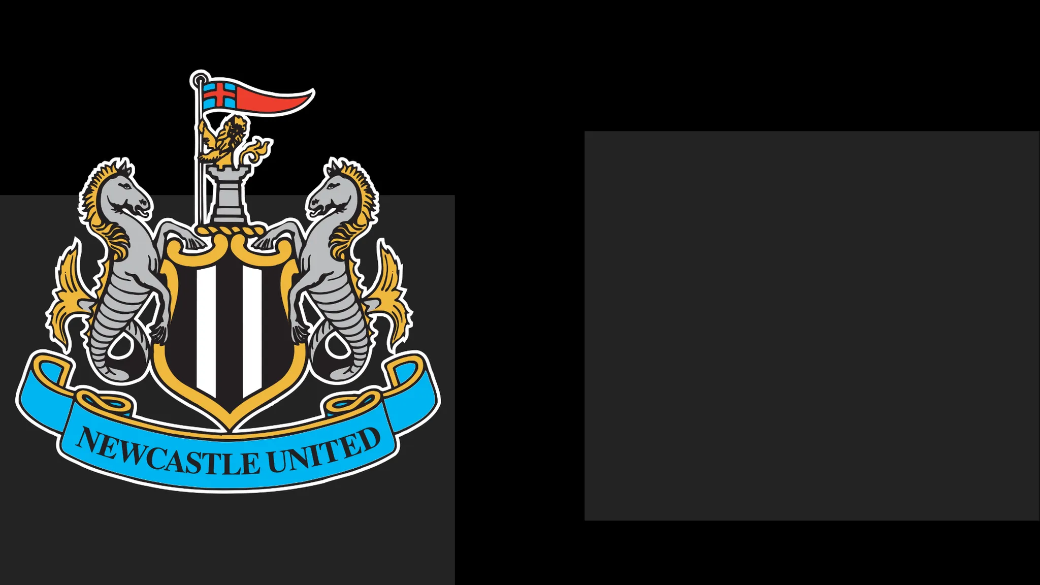 Newcastle Issue Statement of Regret to Fans Following Season Ticket Controversy