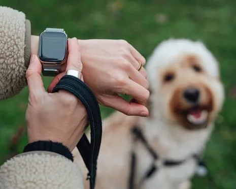 The Truth Regarding Fitness Trackers? Living Is Better Without a Nagging Zealot on Your Wristwear